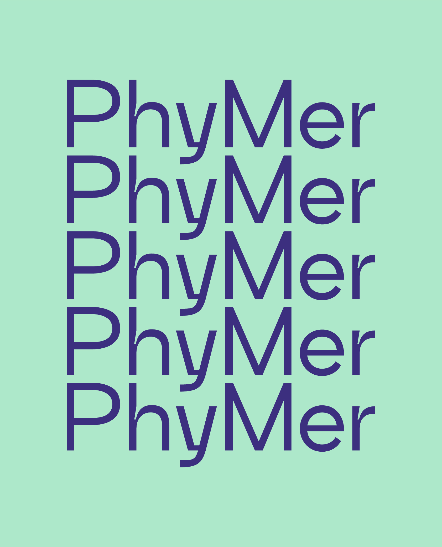 Recurso 40phymer